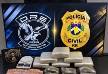 Casal é preso com 13 kg de skunk durante operação da Polícia Civil em Boa Vista Casal é preso com 13 kg de skunk durante operação da Polícia Civil em Boa Vista