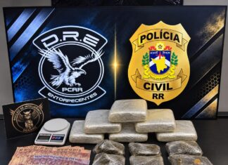 Casal é preso com 13 kg de skunk durante operação da Polícia Civil em Boa Vista Casal é preso com 13 kg de skunk durante operação da Polícia Civil em Boa Vista