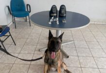 Homem é preso com moto com restrição e quatro porções de droga em Boa Vista homem