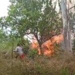Fogo atinge área de vegetação no bairro João de Barro, em Boa Vista Fogo atinge área de vegetação no bairro João de Barro, em Boa Vista