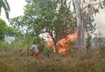 Fogo atinge área de vegetação no bairro João de Barro, em Boa Vista Fogo atinge área de vegetação no bairro João de Barro, em Boa Vista