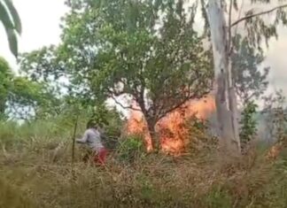 Fogo atinge área de vegetação no bairro João de Barro, em Boa Vista Fogo atinge área de vegetação no bairro João de Barro, em Boa Vista