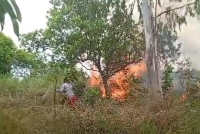 Fogo atinge área de vegetação no bairro João de Barro, em Boa Vista