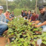 Pronatec oferece 56 vagas gratuitas para curso de energia solar em Boa Vista Pronatec oferece 56 vagas gratuitas para curso de energia solar em Boa Vista
