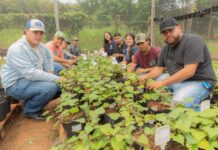 Pronatec oferece 56 vagas gratuitas para curso de energia solar em Boa Vista Pronatec oferece 56 vagas gratuitas para curso de energia solar em Boa Vista