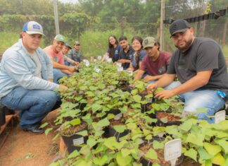 Pronatec oferece 56 vagas gratuitas para curso de energia solar em Boa Vista Pronatec oferece 56 vagas gratuitas para curso de energia solar em Boa Vista