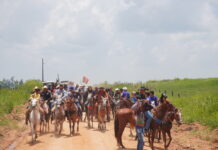 Cavalgada da Vicinal 02 reúne moradores e produtores da região do Paredão em Alto Alegre Cavalgada da Vicinal 02 reúne moradores e produtores da região do Paredão em Alto Alegre