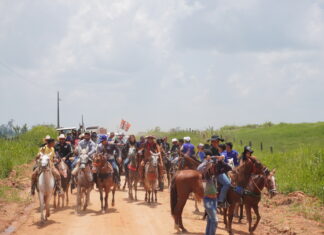 Cavalgada da Vicinal 02 reúne moradores e produtores da região do Paredão em Alto Alegre Cavalgada da Vicinal 02 reúne moradores e produtores da região do Paredão em Alto Alegre