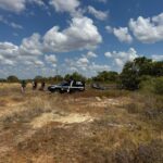 Dentista morre após caminhonete da Saúde capotar na BR-174 acidente dentista br-174