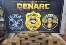 Polícia Civil apreende 18 quilos de skunk e prende dois suspeitos de tráfico em Boa Vista