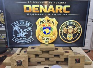 Polícia Civil apreende 18 quilos de skunk e prende dois suspeitos de tráfico em Boa Vista