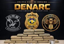 Polícia apreende mais de 20 kg de drogas e prende condenado por homicídio ligado à chacina de 33 presos em Boa Vista Skunk