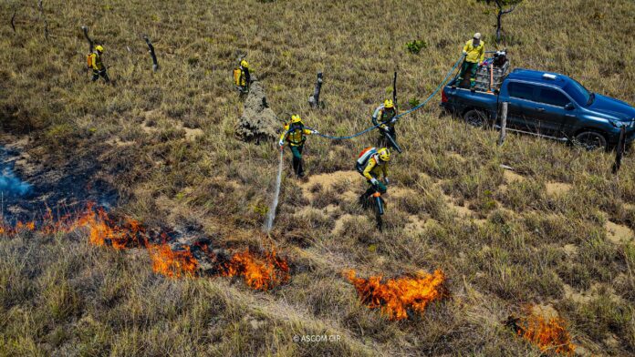 Brigadistas indígenas realizam queima prescrita para prevenir incêndios em território de Roraima2 Brigadistas indígenas iniciam queima planejada para prevenir incêndios em território de Roraima