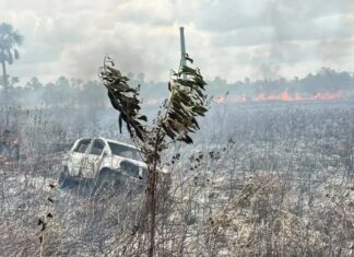 Carro atola e causa incêndio que destrói apiário na zona rural de Boa Vista Carro atola e causa incêndio que destrói apiário na zona rural de Boa Vista
