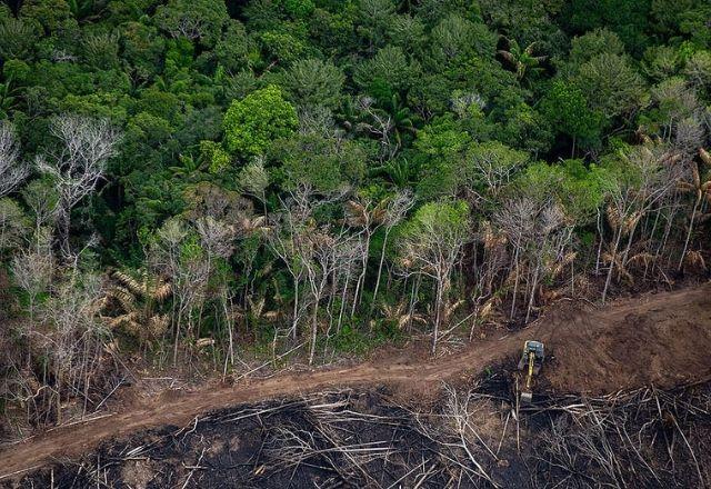 Greenpeace DESMATAMENTO RORAIMA Terra Waimiri Atroari, em Roraima, foi a segunda mais pressionada pela derrubada de floresta no primeiro semestre | Christian Braga/Greenpeace DESMATAMENTO
