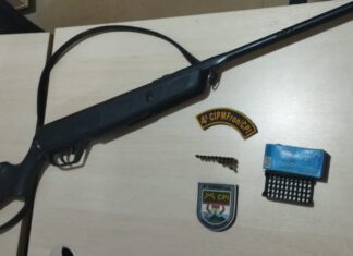 Homem é preso após disparar arma no quintal de casa em Alto Alegre arma alto alegre disparos tiros
