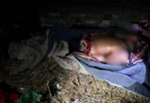 Suspeito confessa ter decapitado jovem em Caracaraí durante execução transmitida por vídeo a integrantes do PCC PCC