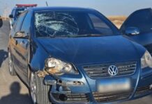Motorista é encontrado dormindo dentro de carro após atropelar atleta e fugir sem prestar socorro Motorista é encontrado dormindo dentro de carro após atropelar atleta e fugir sem prestar socorro