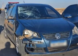 Motorista é encontrado dormindo dentro de carro após atropelar atleta e fugir sem prestar socorro Motorista é encontrado dormindo dentro de carro após atropelar atleta e fugir sem prestar socorro