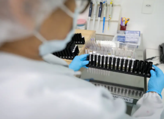 Malária: Anvisa autoriza teste em humanos de vacina 100% brasileira