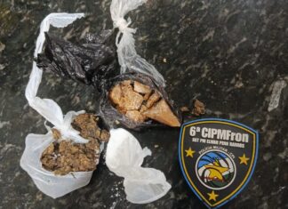 Mulher é presa e adolescente é apreendida com drogas na BR-210 em Caroebe Mulher é presa e adolescente é apreendida com drogas na BR-210 em Caroebe